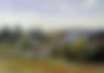 Village (preview)