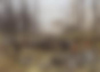 Wooded landscape with hunting party (preview)