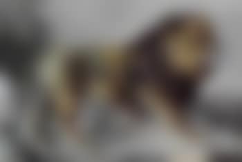 Lion marchant (preview)
