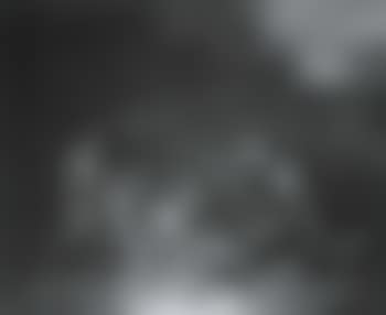Monkeys with fruit in a landscape (preview)