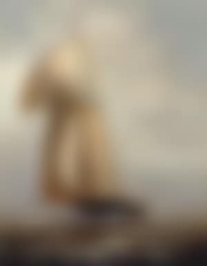 An American schooner (preview)