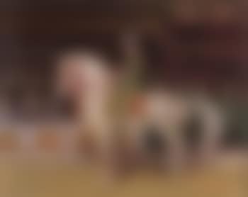 High school (preview)