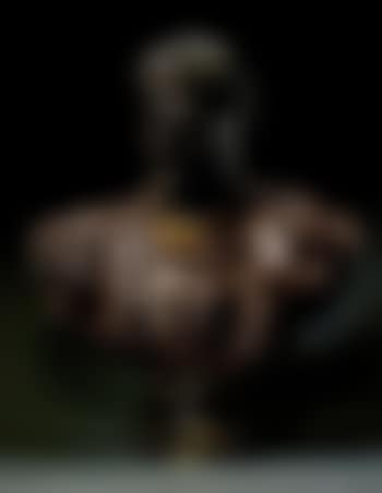 Bust of a consul (preview)