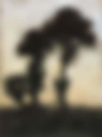 Landscape (preview)