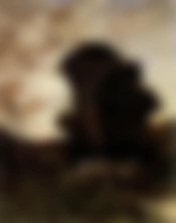 Crossing the bridge (preview)