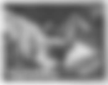 Faune devoilant une femme (preview)