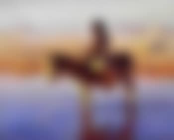 Enfant sur un ane (preview)