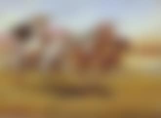 Fantasia (preview)