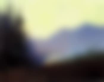 Burning brush (preview)