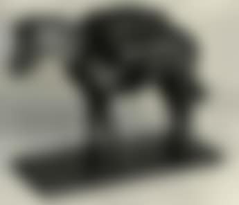 Pack, diamond hitch (preview)