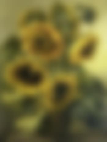 Sunflowers (preview)