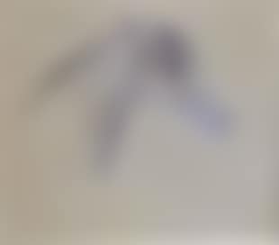 Tete de cheval (preview)