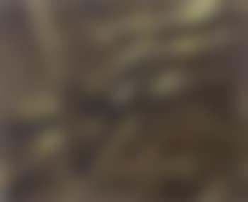 Composition (preview)