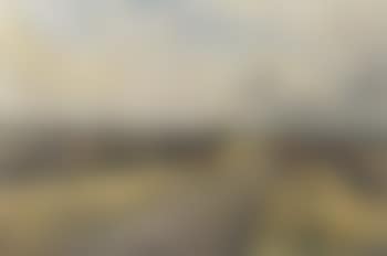 Quorn from Ellas Gorse (preview)
