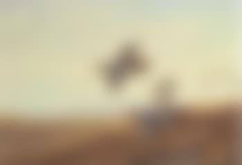 Driven partridges (preview)