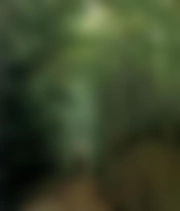 Landscape at Fontainebleu (preview)