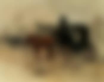 Carriages in the mist, Amsterdam (preview)