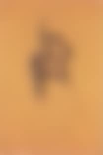 Naked horseman (preview)