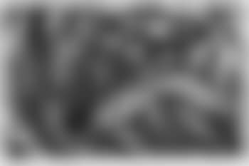 L'escoutay (preview)