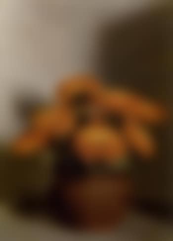 Marigolds (preview)