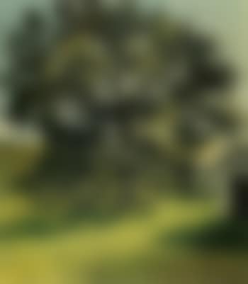 Plane tree (preview)