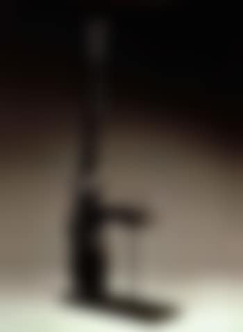 Venus a la girafe (preview)