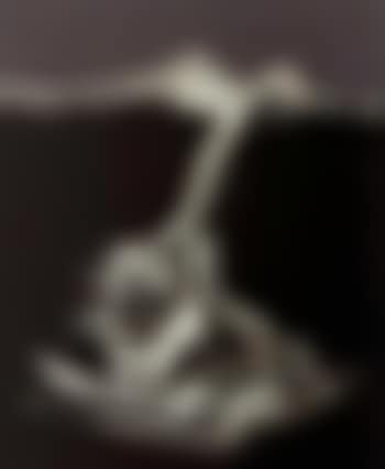 Goya's dog (preview)
