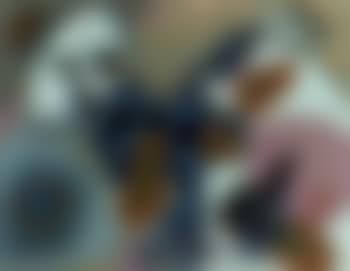 Untitled (preview)