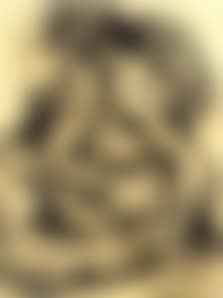 Seated female nude (preview)
