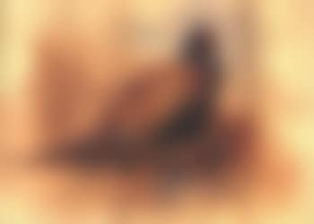 Cock pheasant (preview)