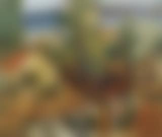 Paysage de Provence (preview)