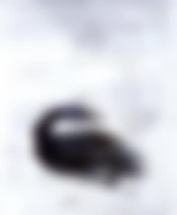 Vogel (preview)
