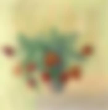 Still life with red tulips in a vase (preview)