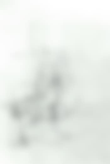 Artist's mother seated (preview)