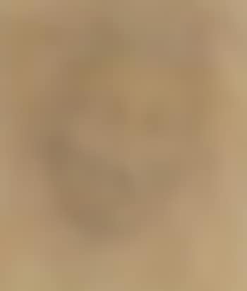 Portrait study after da Vinci (preview)