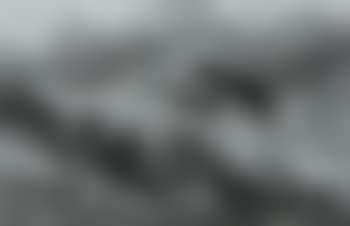 Ledrosee (preview)