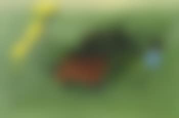 Red park bench (preview)