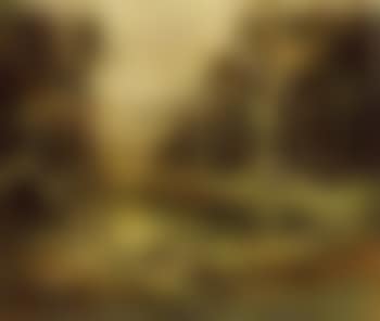 Dam (preview)