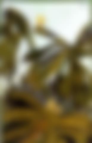 Leaves and butterflies (preview)