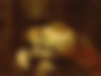 Cat and kittens (preview)