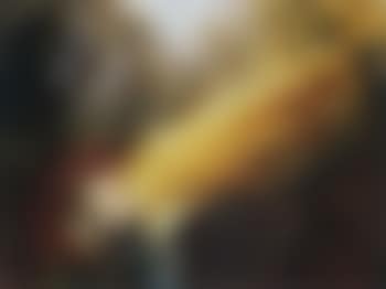 Windmill bride (preview)