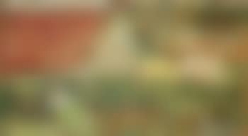 Ceres, Fife, old man clipping hedge (preview)