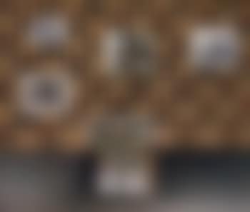 Interior with wallpaper (preview)