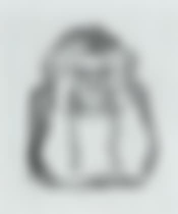 Reader (preview)