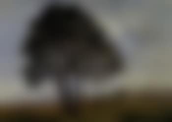 Landscape outside Dresden (preview)