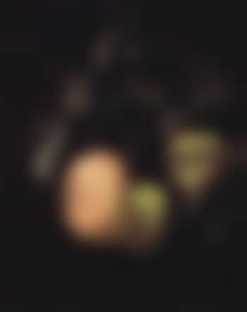 Branch of ripe apples (preview)
