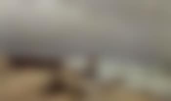 Coastal landscape from Skagen with beached boats and fisherman (preview)