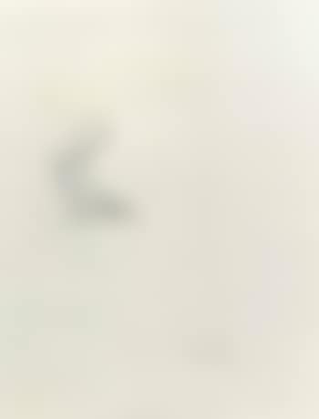 P (preview)