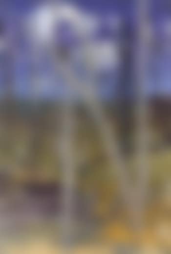 Shoalhaven landscape (preview)