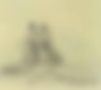 Two riders on horseback (preview)